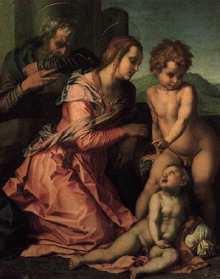 Andrea del Sarto Holy Family